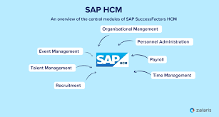 SAP Human Capital Management (SAP HCM)