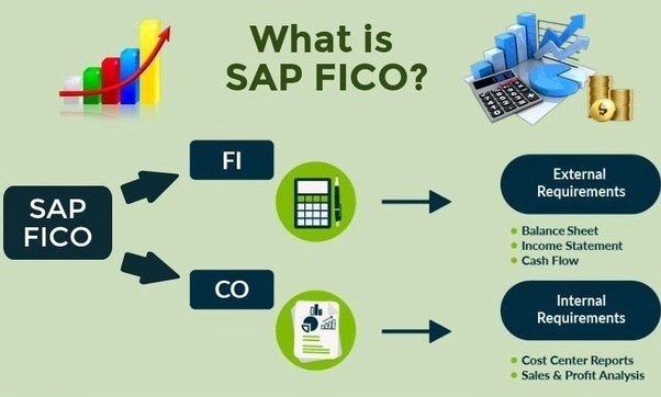 SAP FICO income potentialities are very promising