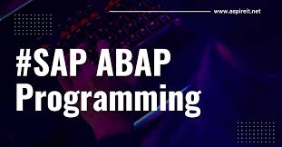 The SAP ABAP