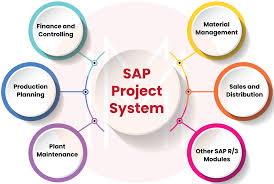 Project System (PS)