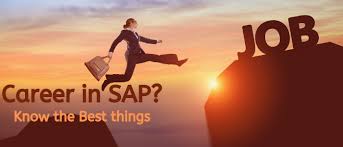 why sap