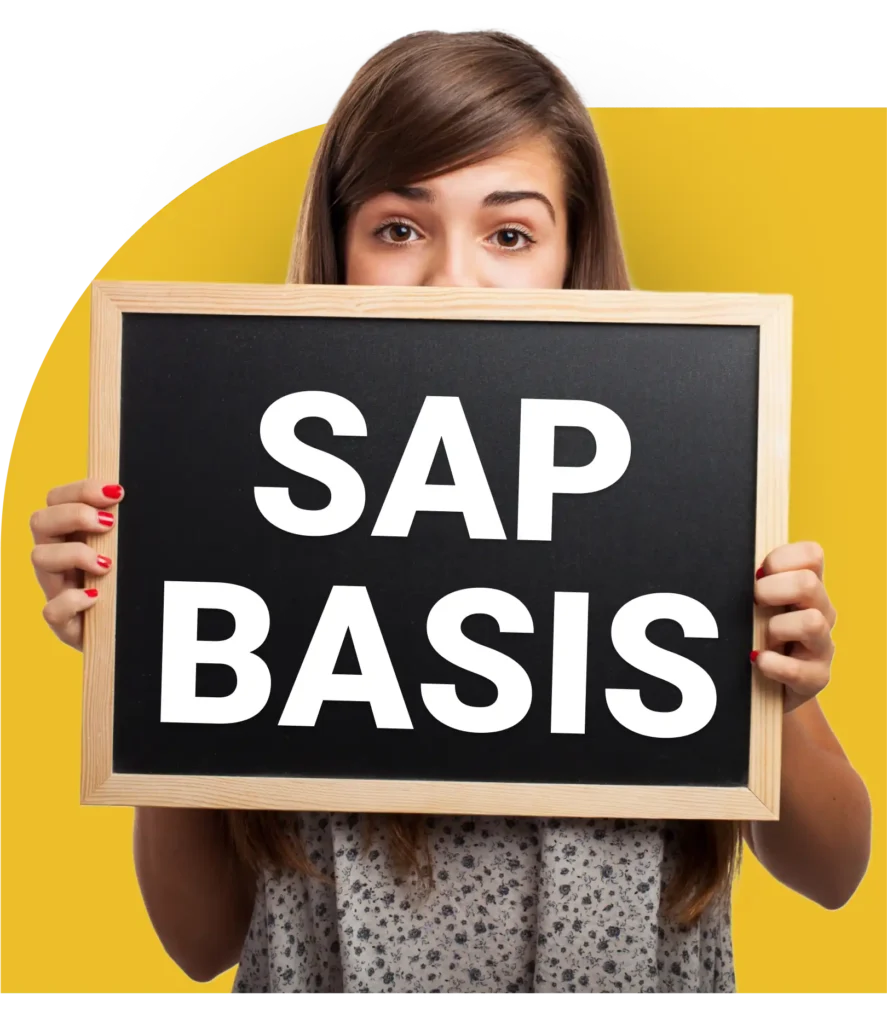 Master In SAP Basis Training Online with Certification