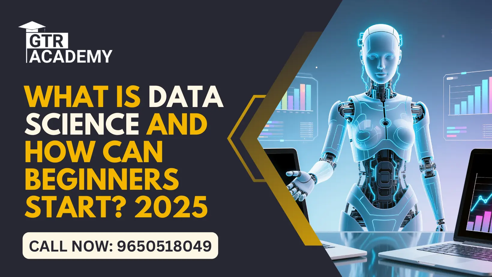 What Is Data Science and How Can Beginners Start