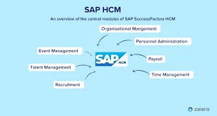 SAP Human Capital Management (SAP HCM)