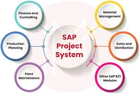 Project System (PS)