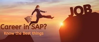 why sap