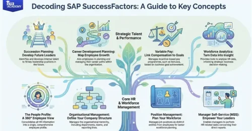 SuccessFactors Glossary