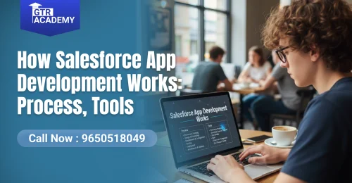 Salesforce App Development Works