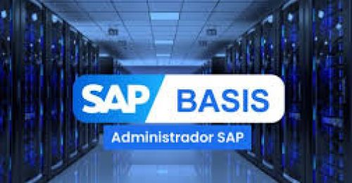 SAP BASIS