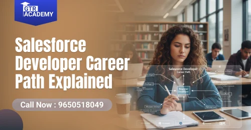 Salesforce Developer Career