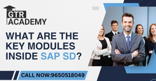 Modules Inside SAP SD