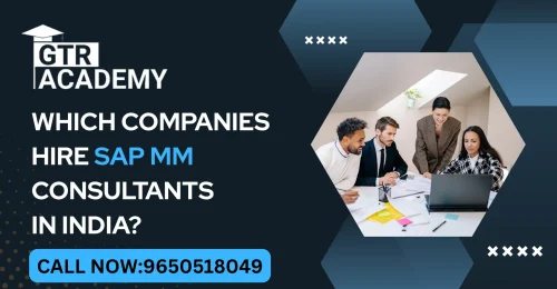 SAP MM Consultants
